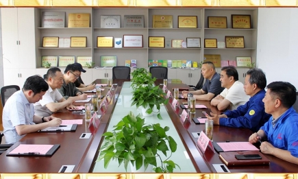 安徽省鋼結構協(xié)會蒞臨我公司視察指導工作